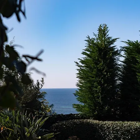 Dukley Apartman Budva